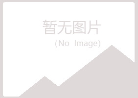 重庆紫山能源有限公司